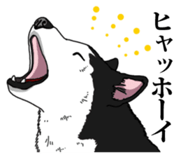 Daily Siberian husky Cheerful guy sticker #13203734
