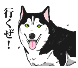 Daily Siberian husky Cheerful guy sticker #13203735