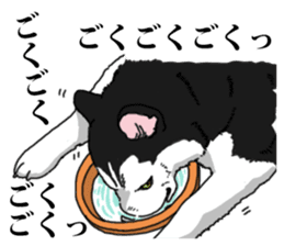 Daily Siberian husky Cheerful guy sticker #13203736