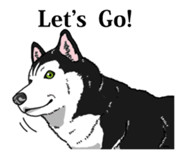 Daily Siberian husky Cheerful guy sticker #13203741