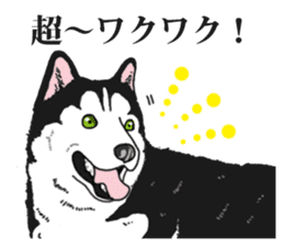 Daily Siberian husky Cheerful guy sticker #13203751