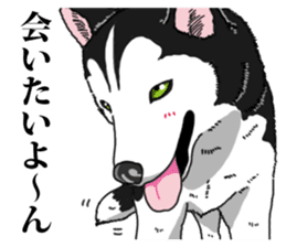 Daily Siberian husky Cheerful guy sticker #13203765