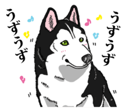 Daily Siberian husky Cheerful guy sticker #13203766