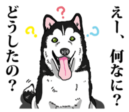 Daily Siberian husky Cheerful guy sticker #13203767