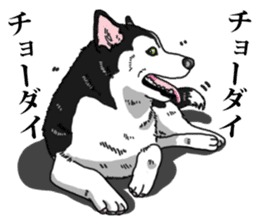 Daily Siberian husky Cheerful guy sticker #13203769