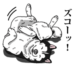Daily Siberian husky Cheerful guy sticker #13203771
