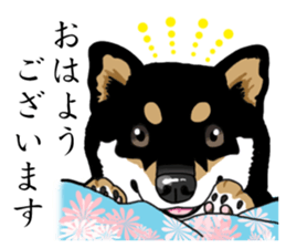 Daily Black Shiba Inu sticker #13204518