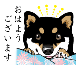Daily Black Shiba Inu sticker #13204518