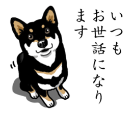 Daily Black Shiba Inu sticker #13204520