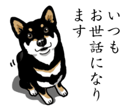 Daily Black Shiba Inu sticker #13204520