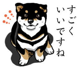 Daily Black Shiba Inu sticker #13204522