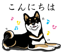 Daily Black Shiba Inu sticker #13204525
