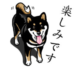 Daily Black Shiba Inu sticker #13204528
