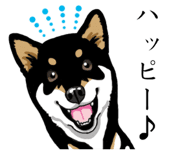 Daily Black Shiba Inu sticker #13204529
