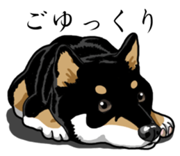 Daily Black Shiba Inu sticker #13204530