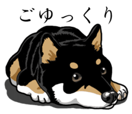 Daily Black Shiba Inu sticker #13204530