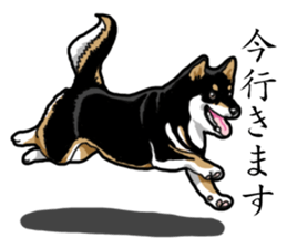 Daily Black Shiba Inu sticker #13204532