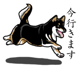 Daily Black Shiba Inu sticker #13204532
