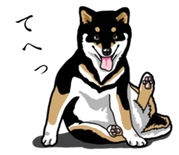 Daily Black Shiba Inu sticker #13204534