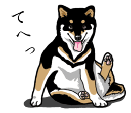 Daily Black Shiba Inu sticker #13204534