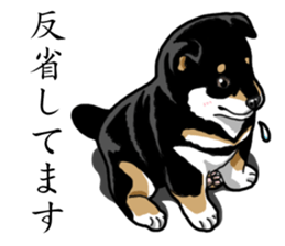 Daily Black Shiba Inu sticker #13204535