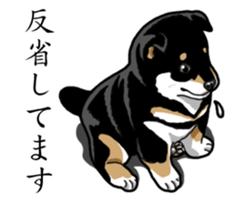Daily Black Shiba Inu sticker #13204535