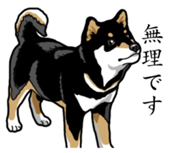 Daily Black Shiba Inu sticker #13204536