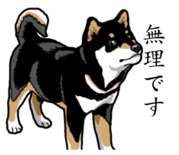 Daily Black Shiba Inu sticker #13204536