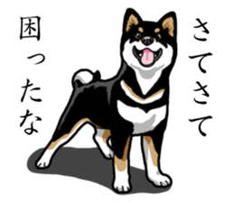 Daily Black Shiba Inu sticker #13204538
