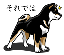 Daily Black Shiba Inu sticker #13204539