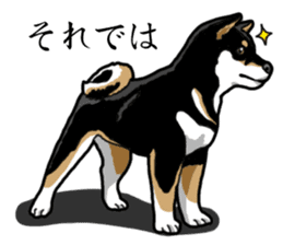 Daily Black Shiba Inu sticker #13204539