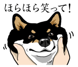 Daily Black Shiba Inu sticker #13204541