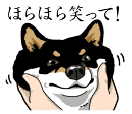 Daily Black Shiba Inu sticker #13204541