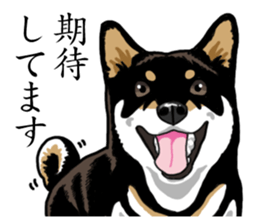 Daily Black Shiba Inu sticker #13204544