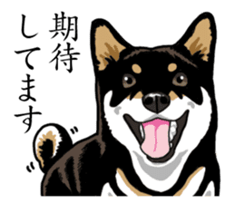 Daily Black Shiba Inu sticker #13204544