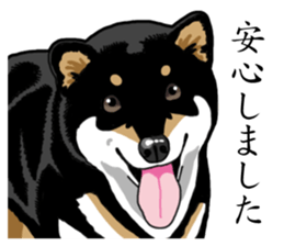 Daily Black Shiba Inu sticker #13204548