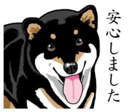 Daily Black Shiba Inu sticker #13204548