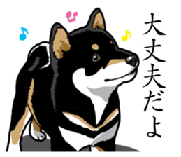 Daily Black Shiba Inu sticker #13204551