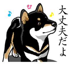 Daily Black Shiba Inu sticker #13204551