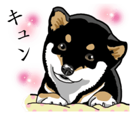 Daily Black Shiba Inu sticker #13204553