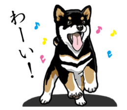 Daily Black Shiba Inu sticker #13204554