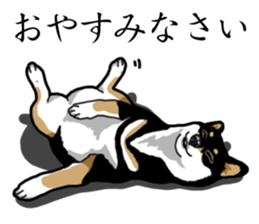 Daily Black Shiba Inu sticker #13204556