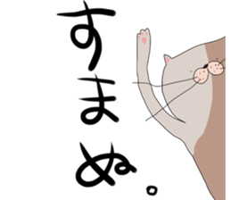 adorable cats. sticker #13206326