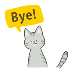 C7 summit sticker #13210027