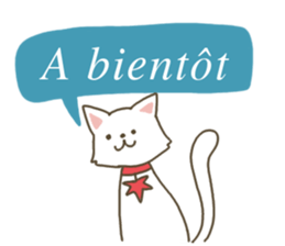 C7 summit sticker #13210028