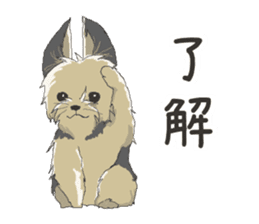 Cutie Yorkshire Terrier sticker #13210150