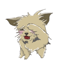 Cutie Yorkshire Terrier sticker #13210152