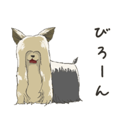 Cutie Yorkshire Terrier sticker #13210153