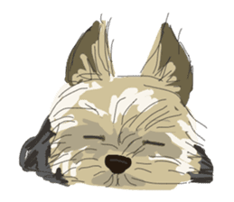 Cutie Yorkshire Terrier sticker #13210154