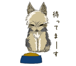 Cutie Yorkshire Terrier sticker #13210155